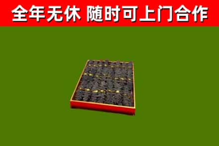 陆河县回收海参